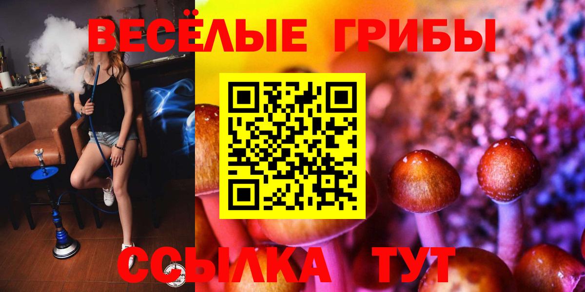 Галлюциногенные грибы мицелий Карачаевск
